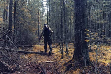 Купить диплом Егеря, лесника в Альметьевске