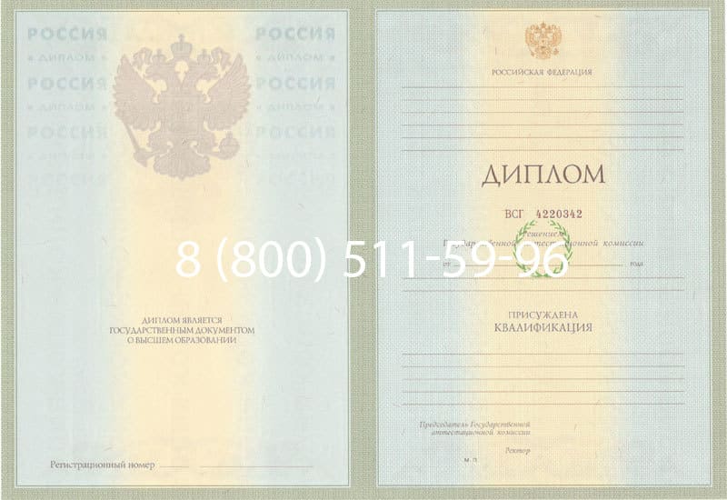 Купить Диплом о высшем образовании 2003-2009 годов в Альметьевске